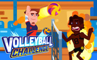 Volleyball Challenge